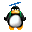 pingouin02