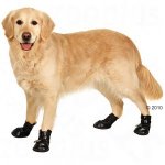 Chaussures de protection pour chien taille S