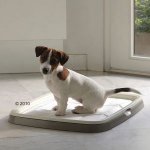 Toilettes pour chiot Puppy Trainer  taille L : L 62,5 cm x l 48 cm x H 4 cm