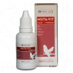 Vitamines pour oiseaux Versele Muta-Vit Liquid, spécial mue  30 mL